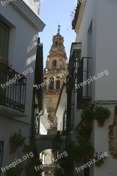 Cordoba Capital Street Flowers Free Photos