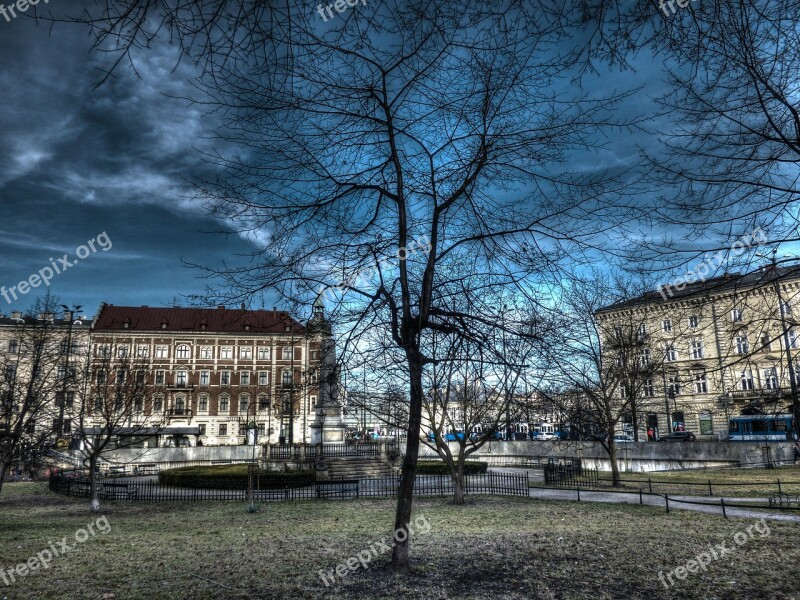 Kraków Tree The City Centre Hdr Sky