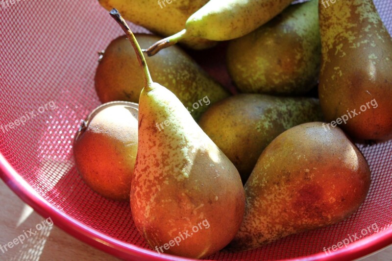 Pear Fruits Fruit Free Photos