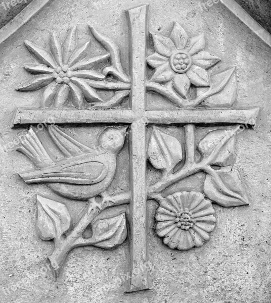 Relief Stone Symbol Nature Gentian