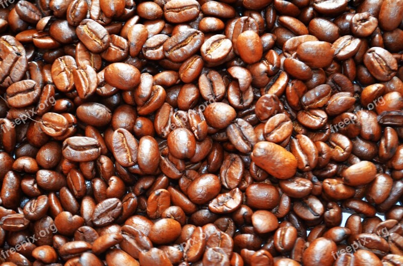 Coffee Beans Benefit From Aroma Free Photos