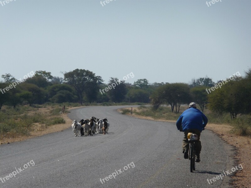 Lonely Africa Cyclist Free Photos