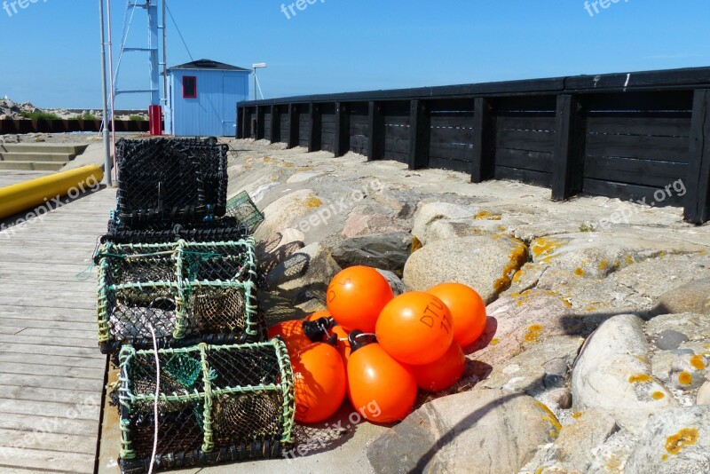 Fishing Lobster Boxes Fisherman Orange Green