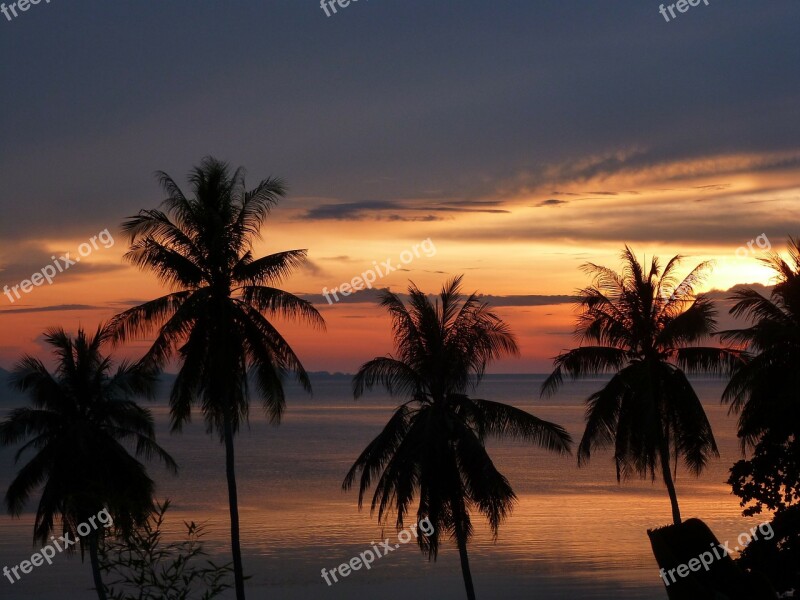 Sunset Palm Trees Beach Free Photos