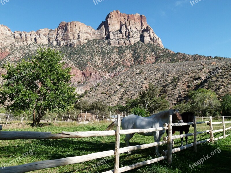 Zion National Park Utah Usa Tourist Attraction Mountains