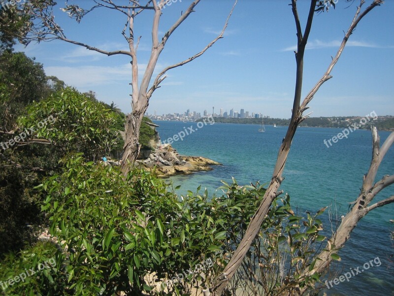 Sydney Sea Australia Architecture Free Photos