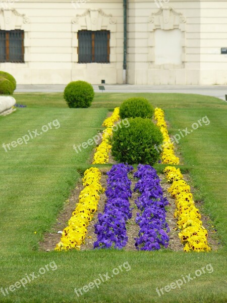 Bed Flower Bed Colorful Color Spring