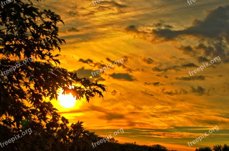 Sunset Landscape Summer Leaves Harmony