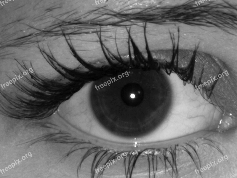 Eye Sight Black And White Free Photos