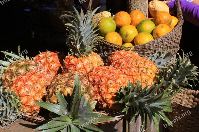 Pineapple Fruit Cuba Free Photos