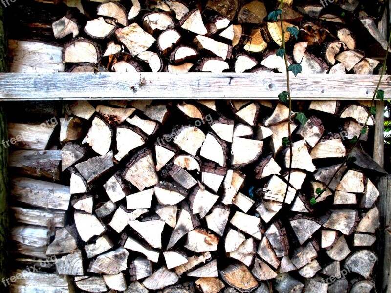 Wood Holzstapel Firewood Stacked Ivy