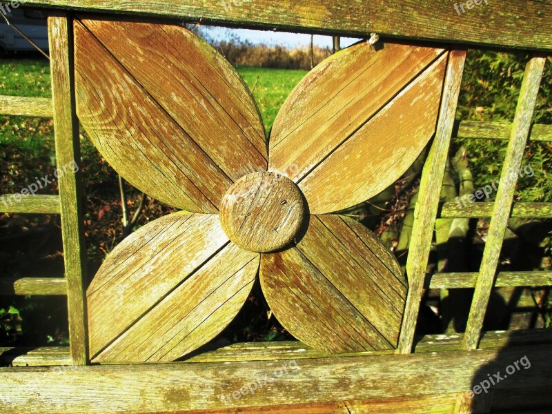 Four Leaf Clover Luck Wood Wood Fence Close Up