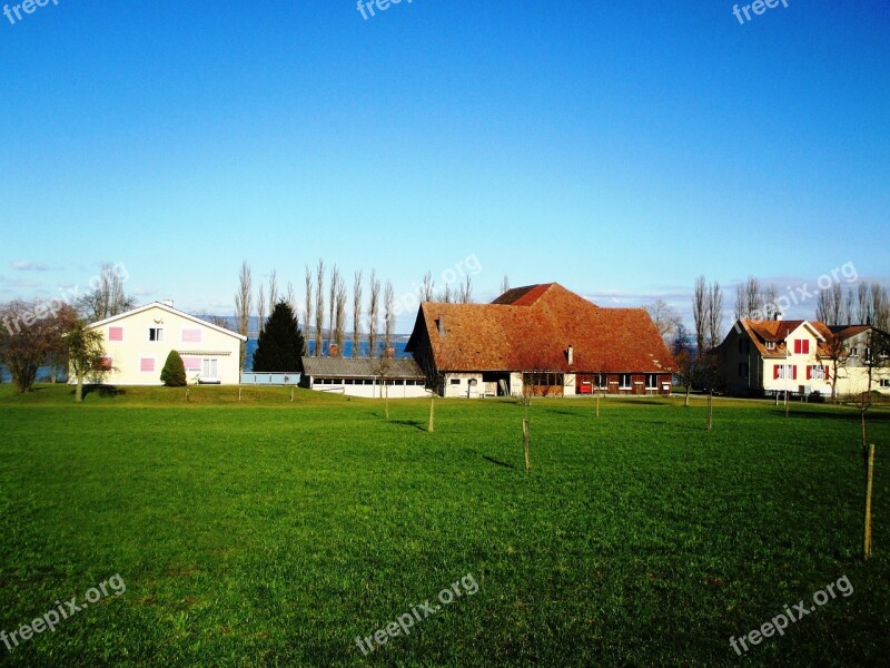 Agriculture Farm Meadow Young Fruit Trees Idyllic