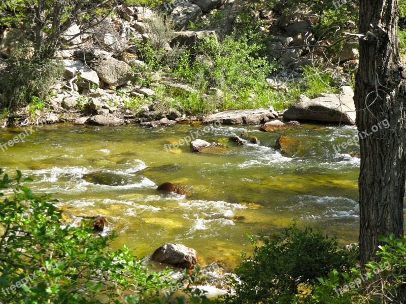 Stream Creek Flowing Landscape Nature