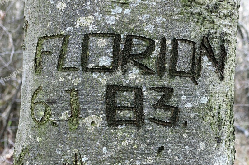 Tree Carved Name Symbol Engraved