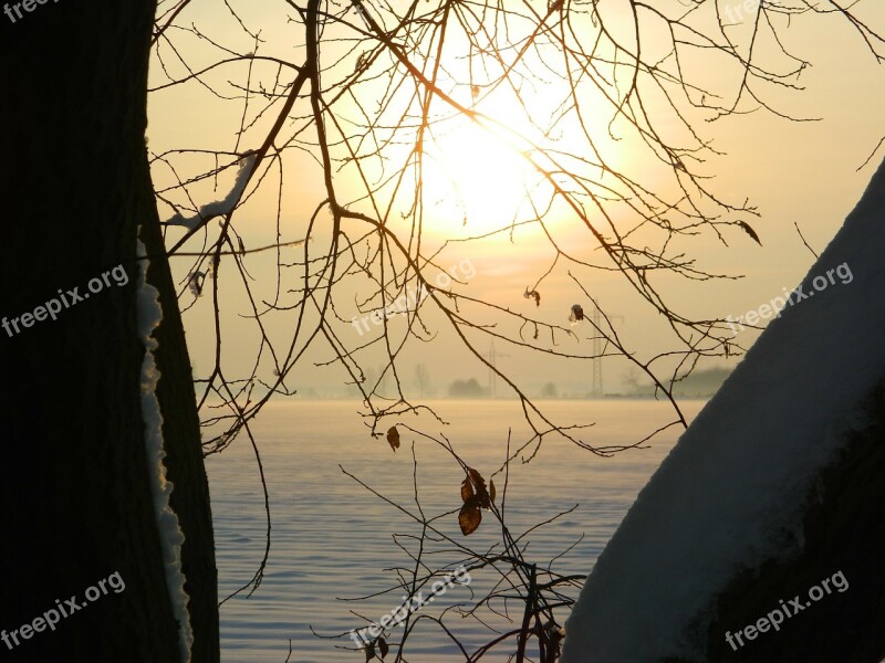 Winter Sunset Tree Branches Snow