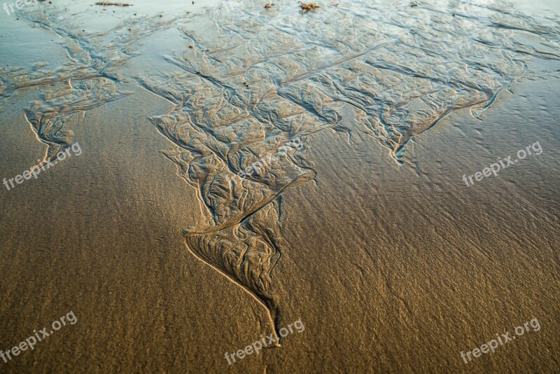 Beach Long Reef Sydney Australia Sand