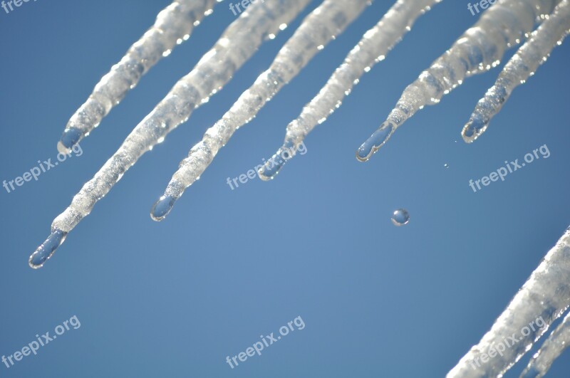 Water Drip Frozen Ice Winter