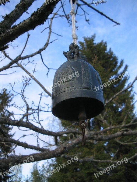 Watch Tree Sky Blue Garden Free Photos