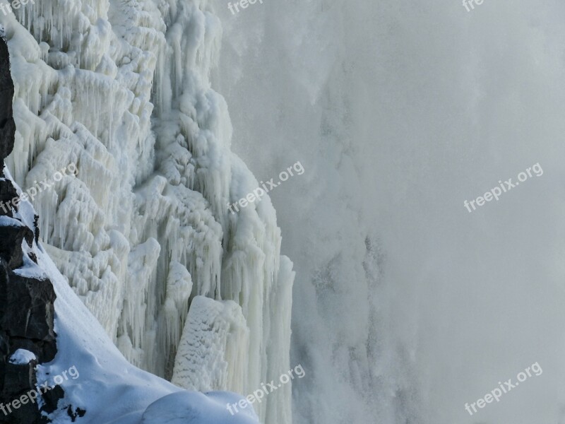 Canim Falls British Columbia Canada Frosted Tree