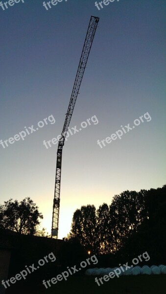 Crane Night Twilight Free Photos