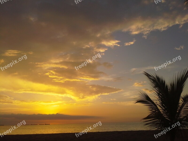 Sunset Palm Tree Sky Cloud Palms