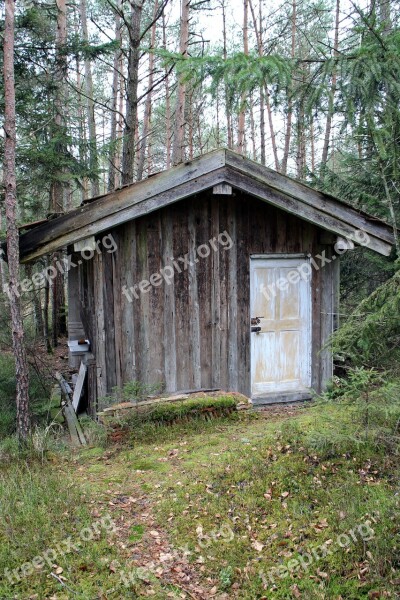 Hut House Woodhouse Log Cabin Forest