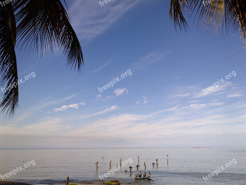 Beach Sky Praia Mansa Horizon Free Photos