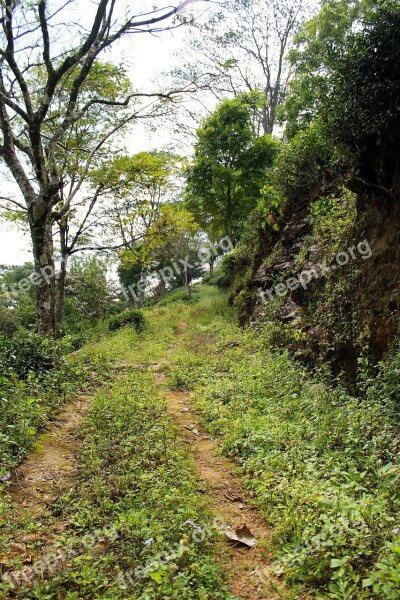 Road Secondary Road Country Road Grass Free Photos