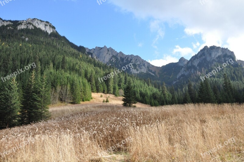 Mountains Landscape View Autumn Grass