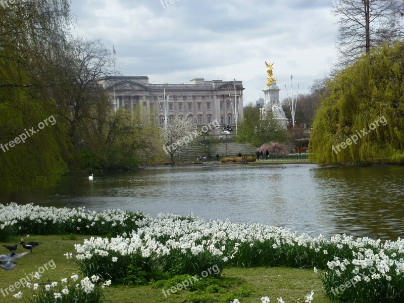 Flowers London Park England Britain