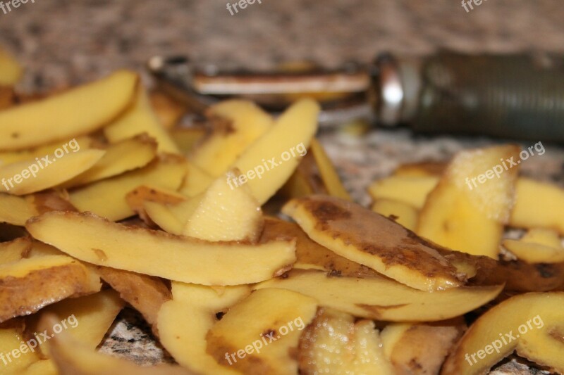 Potato Dish Organic Waste Shell Peel Potatoes Peel