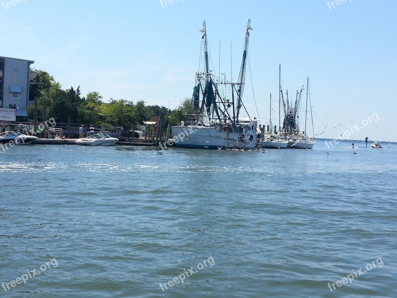 Shrimper Shrimp Boat Water Boat Free Photos