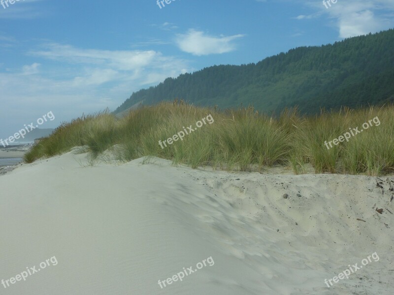 Oregon Dune Sand Ocean Beach