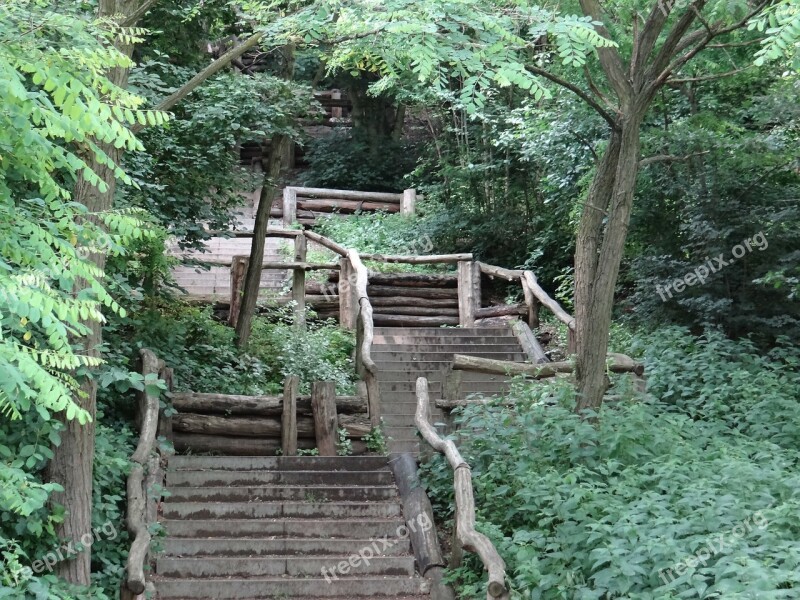 Stairs Forest Nature Landscape Rest