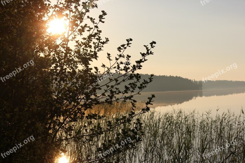 Morning The Morning Sun Saimaa Midsummer Free Photos