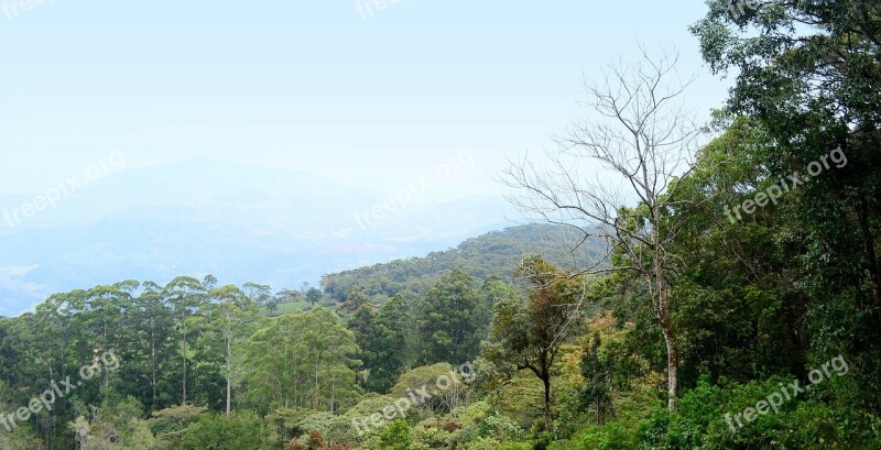 Landscape Scenery Loolecondera Deltota Sri Lanka