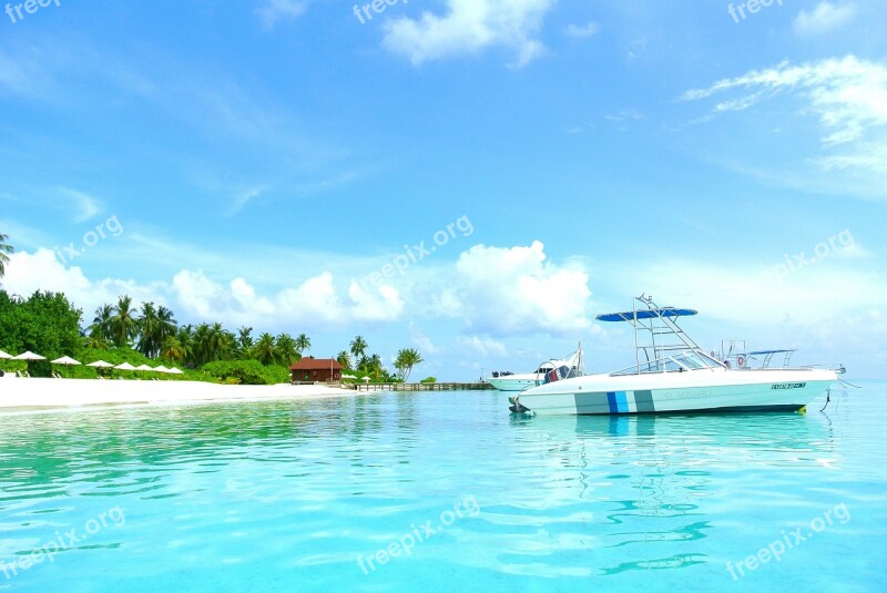 Maldives Coconut Tree Sea Resort Summer