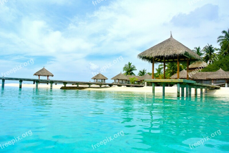 Maldives Coconut Tree Sea Resort Summer