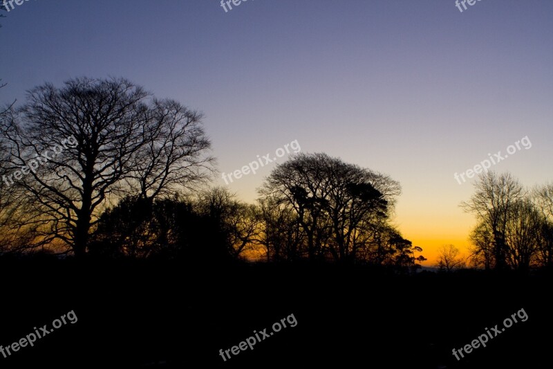 Sundown Sunset Trees Tree Silhouettes