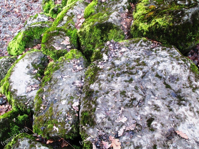 Nature Stones Shore Stones Moss Bemoost