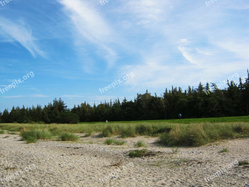 Baltic Sea Beach Sky Blue Dunes