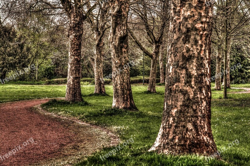 Away Park Trees Hdr Theme Park