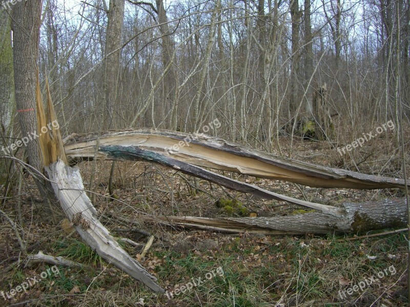 Riparian Zone Book Storm Damage Fracture Storm