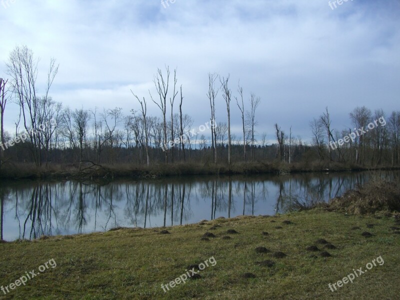 Danube River Bank Trees Kahl