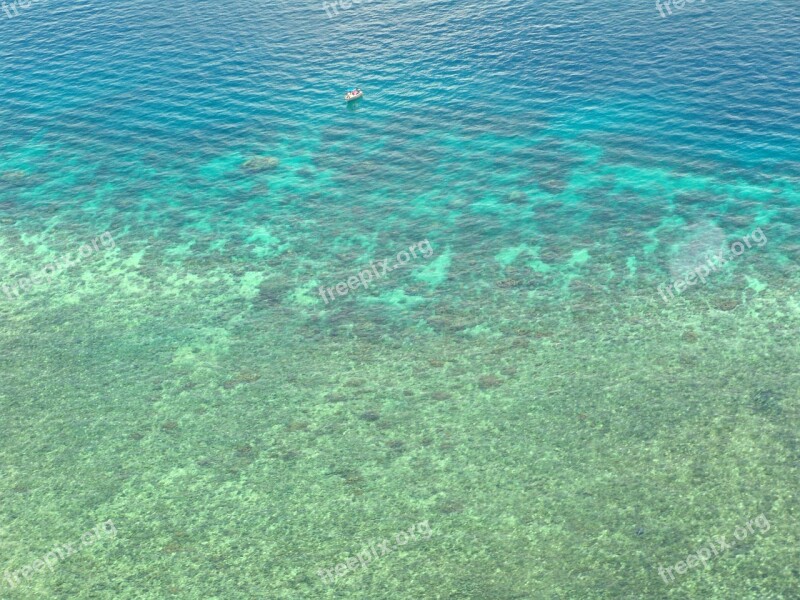 Great Barrier Reef Diving Coral Ocean Pacific