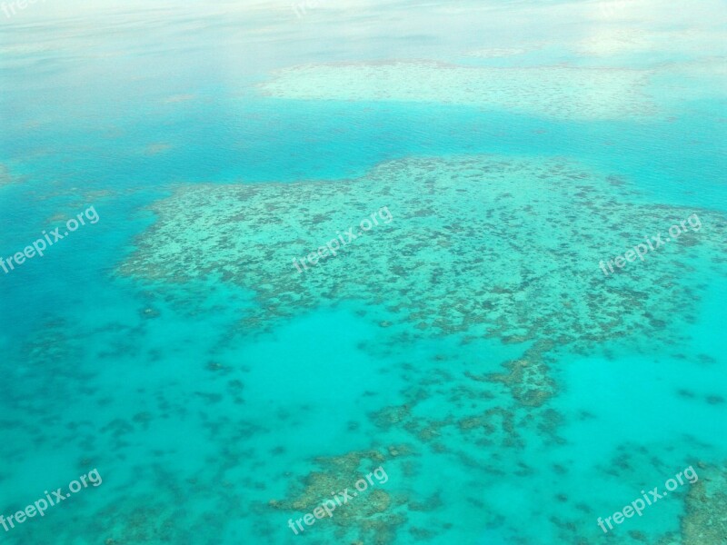 Great Barrier Reef Diving Coral Ocean Pacific