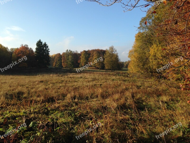 Autumn Skåne Nature Free Photos