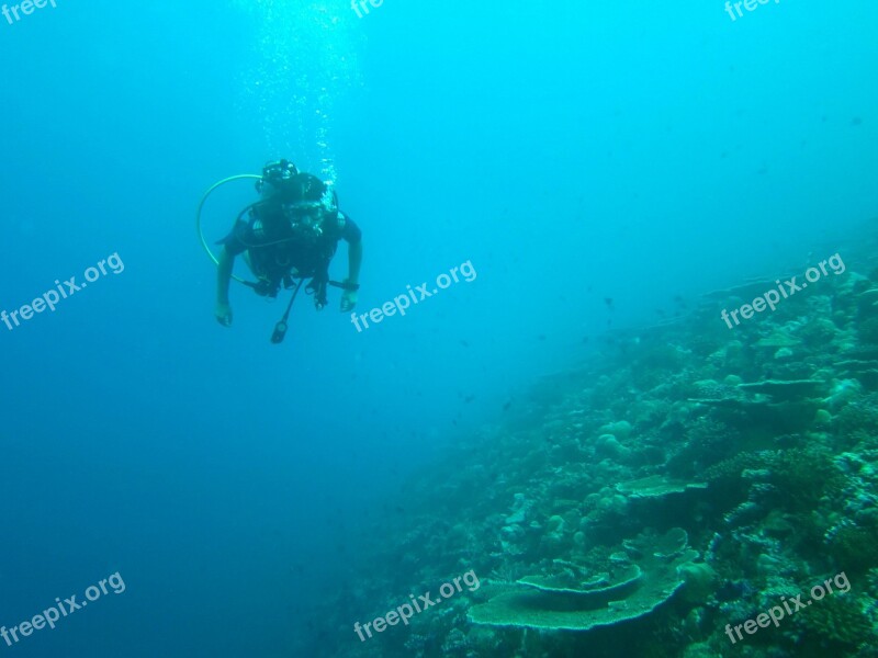 Diving Maldives Sea Ocean Diving Suit