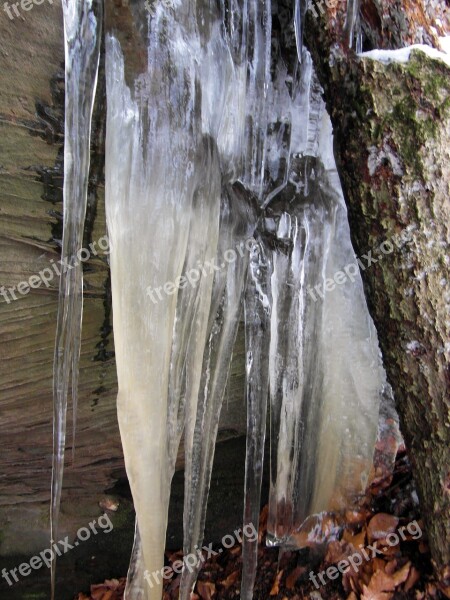 Icicle Rock Winter Palatinate Free Photos